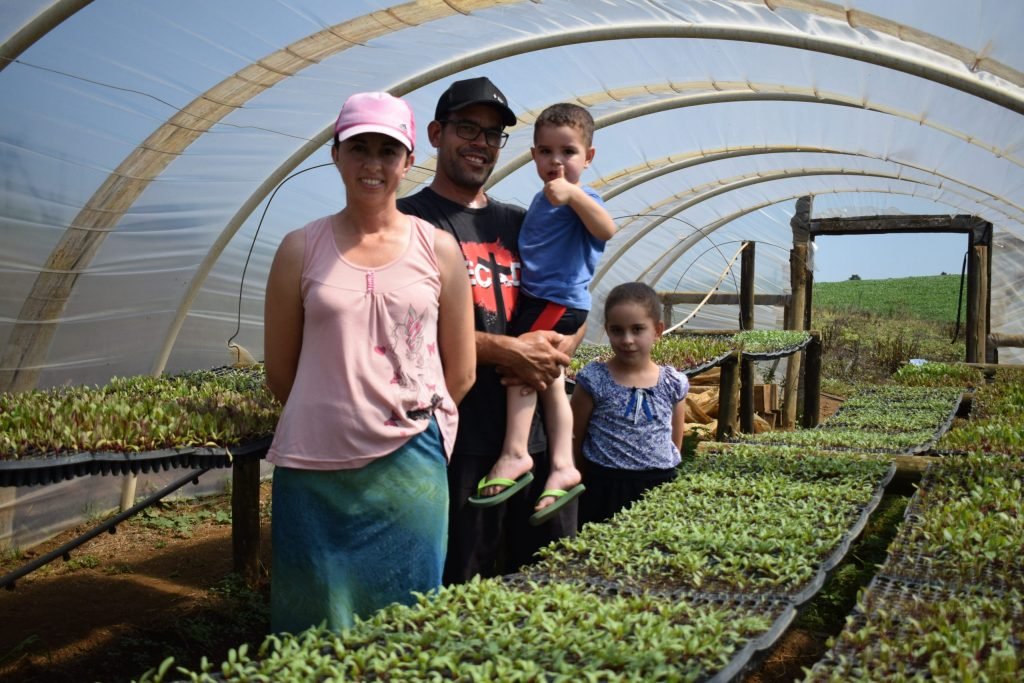 Agricultores de Guarapuava inovam na produção de legumes e hortaliças
