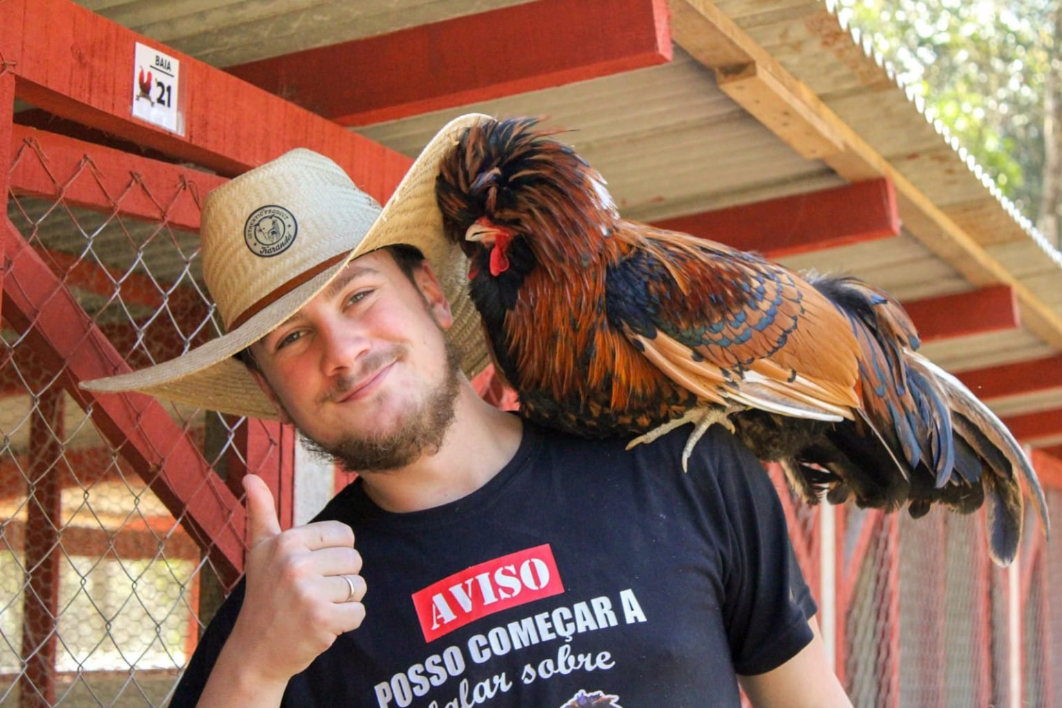Jovem de São Mateus do Sul tem criação de mais de 200 galinhas ornamentais