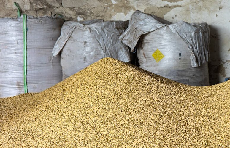 Comissão de Grãos da FAEP reforça posição contrária à redução do teor de umidade da soja