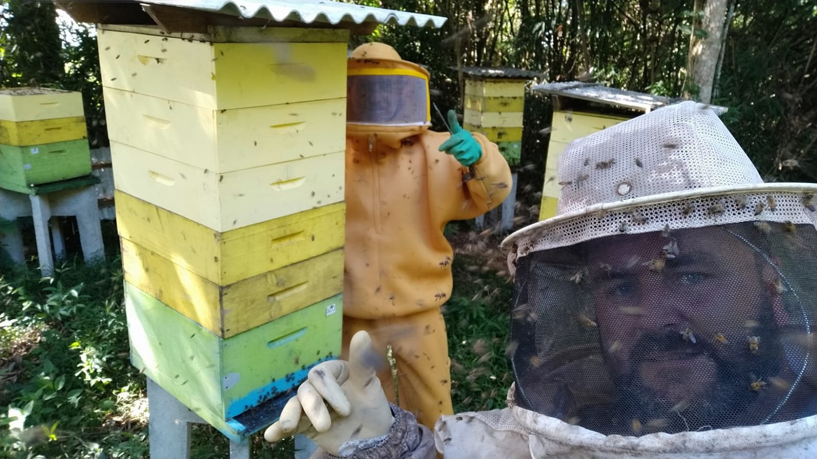 Apicultor de Prudentópolis destaca relevância do mel no município