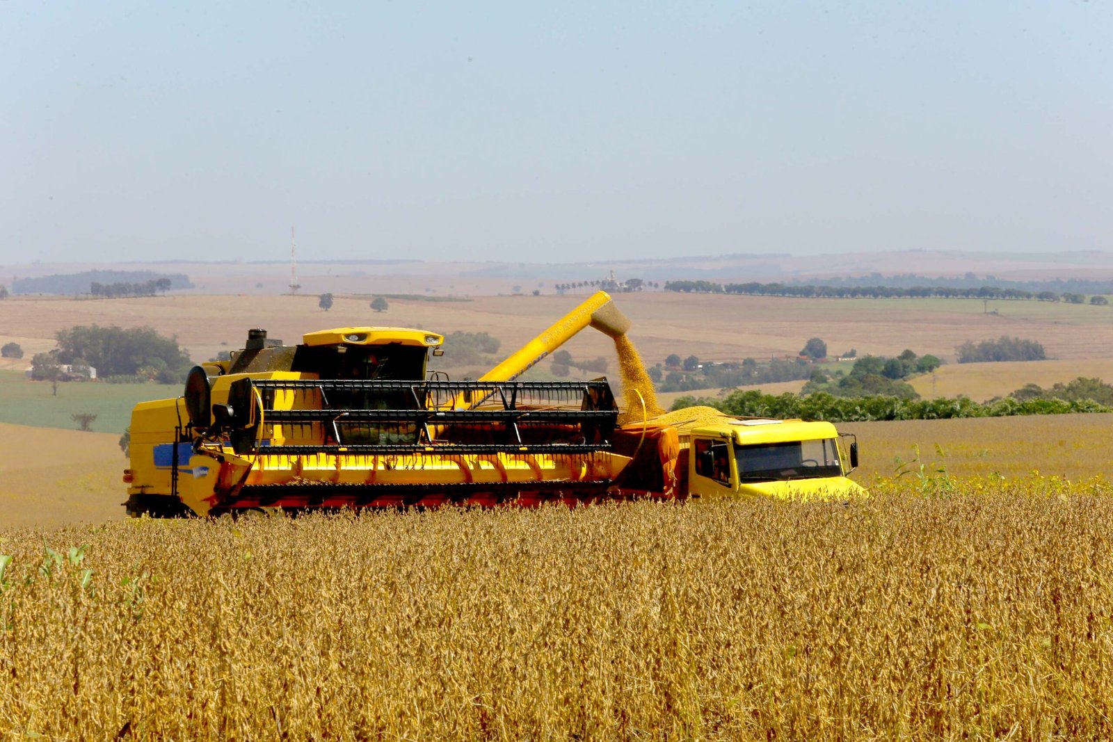 Paraná atinge 25% da área na colheita da soja