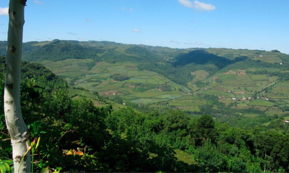 Paisagem montanhosa Bento Golçaves