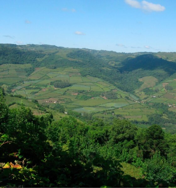 Paisagem montanhosa Bento Golçaves